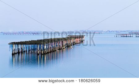 Shellfish Farming From Po River Lagoon, Italy