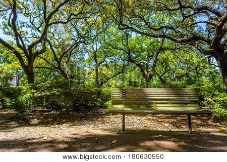 A wood bench under the live oaks in Pulaski Square in the Historic District of Savannah Georgia.