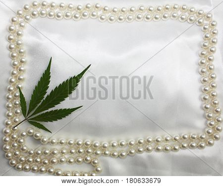 Wedding hippie original bridal satin white background with pearls frame and marijuana pressed leaf in corner. Invitation card freedom ganja backdrop.