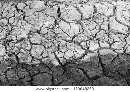 Arid Nature. Closeup Crack Soil Black And White Texture Background.