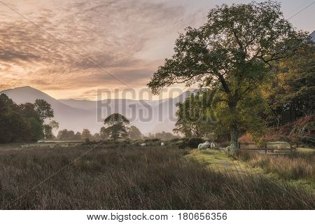Stunning Winter Foggy Sunrise Over Countryside Around Crummock Water In Lake District England