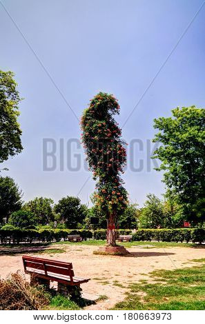 Landscape of Tehsil park in Gor Khuttree historical site at Peshawar Pakistan