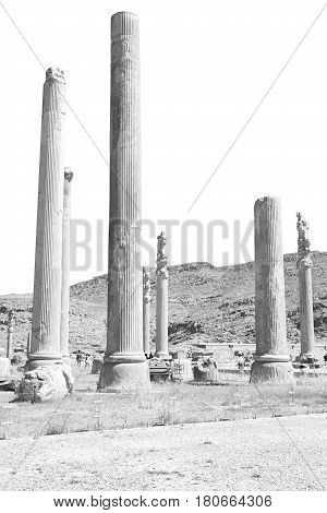 In Iran     Persepolis