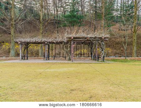 Rustic looking wooden pavilion with picnic benches and trees in the background taken near DaejeonSouth Korea on a calm spring morning
