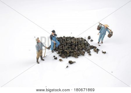the mini ature worker work with tea