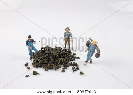 the mini ature worker work with tea