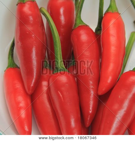 Red Chili
