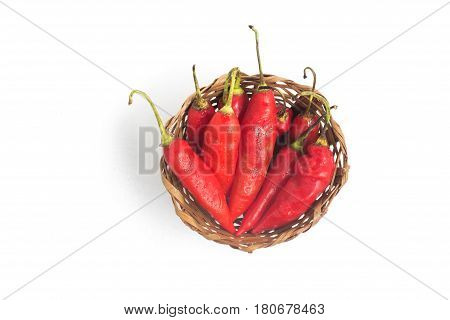 Dedo De Moca Chilly Pepper