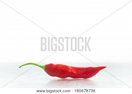 Dedo De Moca Chilly Pepper