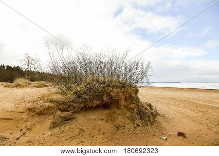 St. Petersburg, Sestroretsk-the coast of the Gulf of Finland in early spring