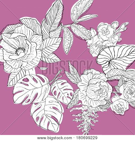 Tropical plants grouped in a circle. Banana Ficus
