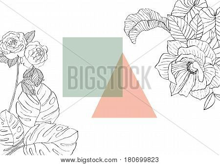 Banana, ficus, monstera rose rosehip garden flower