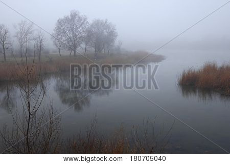 The quiet lake with coast overgrown with a last year's cane. Separate trees are visible. Everything closes fog of early morning. March.