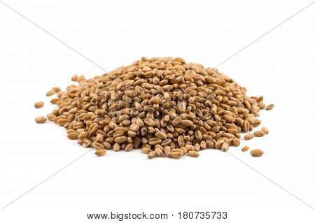 Wheat Grain On White