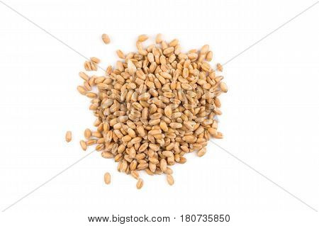 Wheat Grain On White