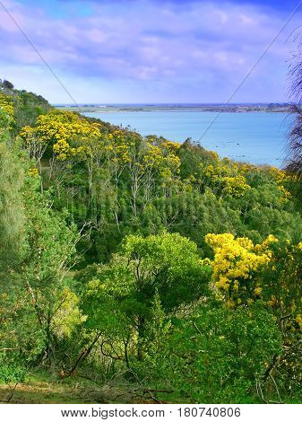 Hillside and wetland landscape at Tower Hill State Game Reserve in Victoria Australia.