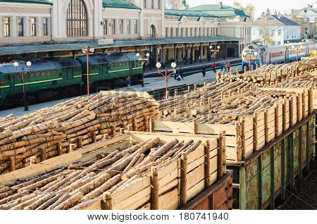 Environment, Nature And Deforestation Forest - Felling Of Trees. The Concept Of A Global Problem. Fr