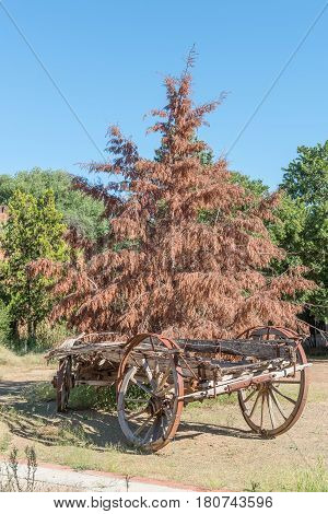 View of an old ox-wagon on display in Philippolis the oldest town in the Free State Province