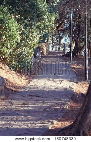 Paved alley in the summer park vintage effect