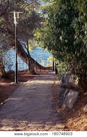 Paved alley in the summer park; Sveti Stefan Montenegro vintage effect