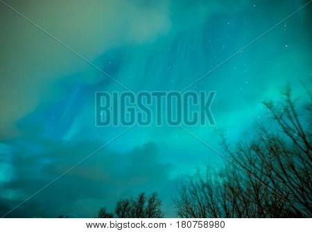 Aurora Borealis Known as Nother Lights Playing with Vivid Colors Over Lofoten Islands in Norway. Horizontal Image Orientation