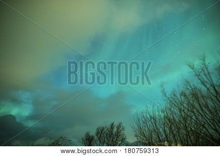Aurora Borealis Known as Nother Lights Playing with Vivid Colors Over Lofoten Islands in Norway. Horizontal Image Orientation