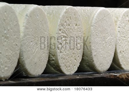 ฝรั่งเศส roquefort เนยแข็ง