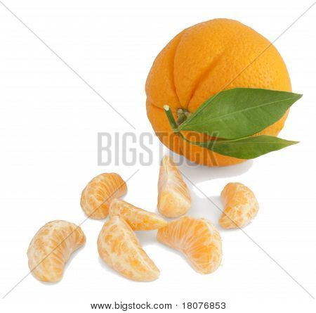 Orange og segmenter.