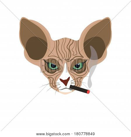 Sphynx hairless brown cat face with black smoking cigarette in mouth isolated on white. Vector colorful illustration in flat design of feline domestic animal head with big ears and green eyes