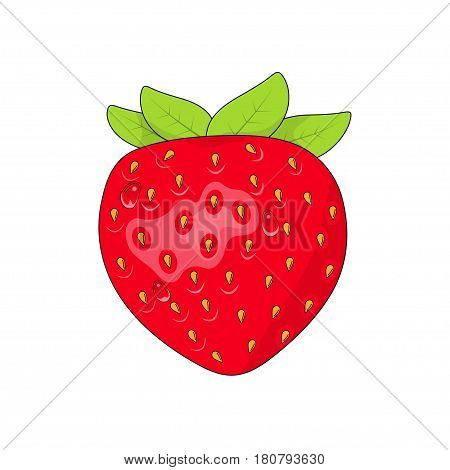 Isolated beautiful red strawberry on white background vector illustration