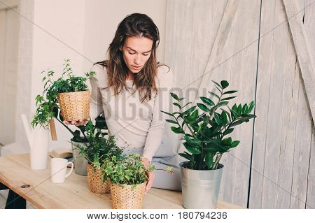 young woman watering flowerpots at home. Casual lifestyle series in modern scandinavian interior