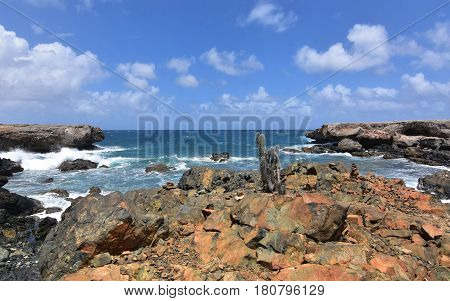Cactus growing out of a crumbling rock on Aruba's east coast.