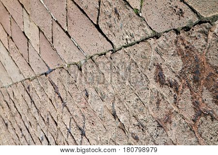 Sanpietrini Busto    Pavement Of  Curch And Marble