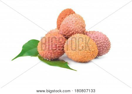 Hylocereus undatus isolated on a white background cutout