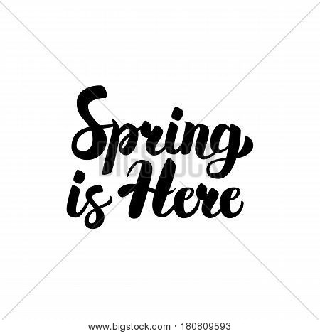 Spring is Here Handwritten Lettering. Vector Illustration of Brushpen Calligraphy Isolated over White Background.