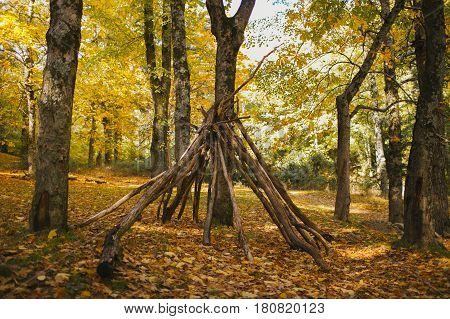 Autumn landscape. Colorful autumn forest. Autumn colors in the forest. Fall in the woods.