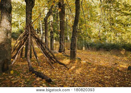 Autumn landscape. Colorful autumn forest. Autumn colors in the forest. Fall in the woods.