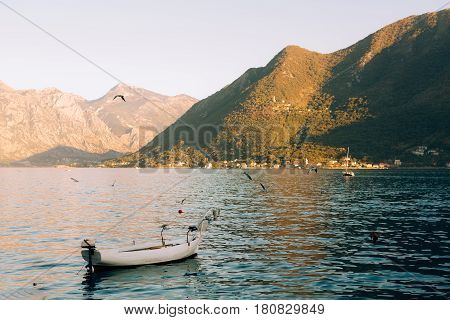 Fishing boats in the Bay of Kotor in Montenegro.