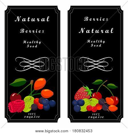 Vector illustration logo fruit berry:strawberry cherry raspberry blackberry currant gooseberry wild rose blueberry cranberry.