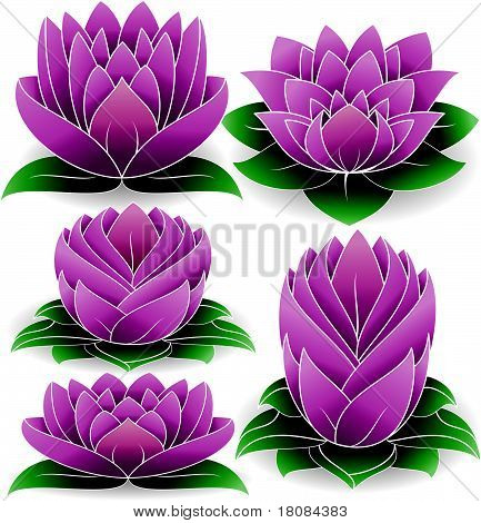 Lotus set vector