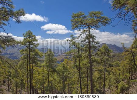 Central Gran Canaria, Nature Reserve Inagua
