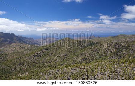 Central Gran Canaria protected area of Integral Nature Reserve Inagua pine forest