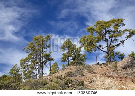 Central Gran Canaria, Nature Reserve Inagua