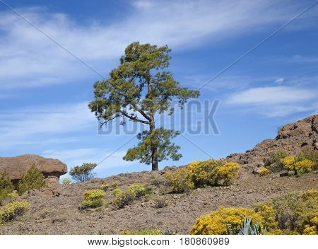 Central Gran Canaria, Nature Reserve Inagua