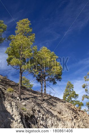 Central Gran Canaria, Nature Reserve Inagua