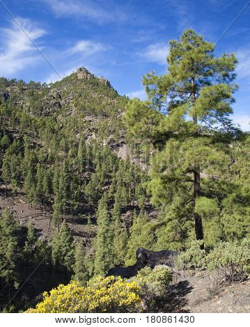 Central Gran Canaria, Nature Reserve Inagua