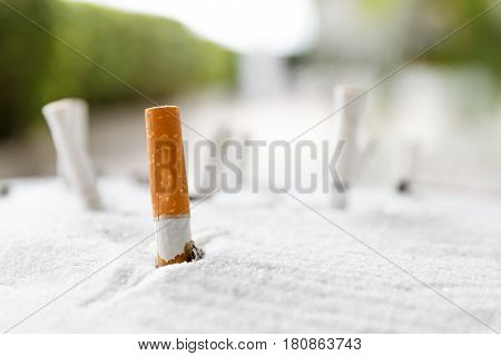 Cigarette butt in ashtray on outdoor blur background