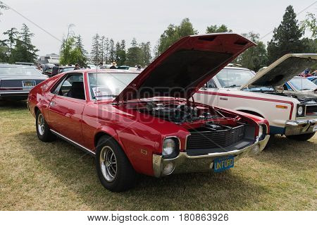 Amc Amx On Display