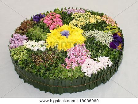Arrangement de la fleur.