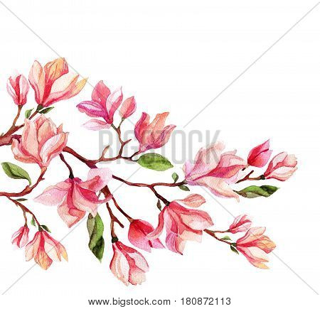 Watercolor magnolia flower card. Spring blooming branch on white background. Hand painted floral illustration